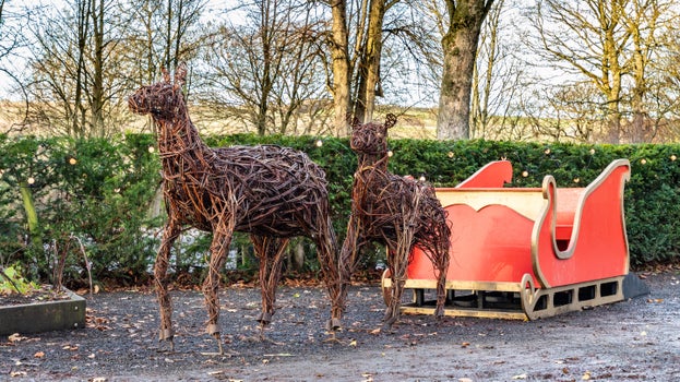 Fathers Christmas' sleigh and willow reindeer